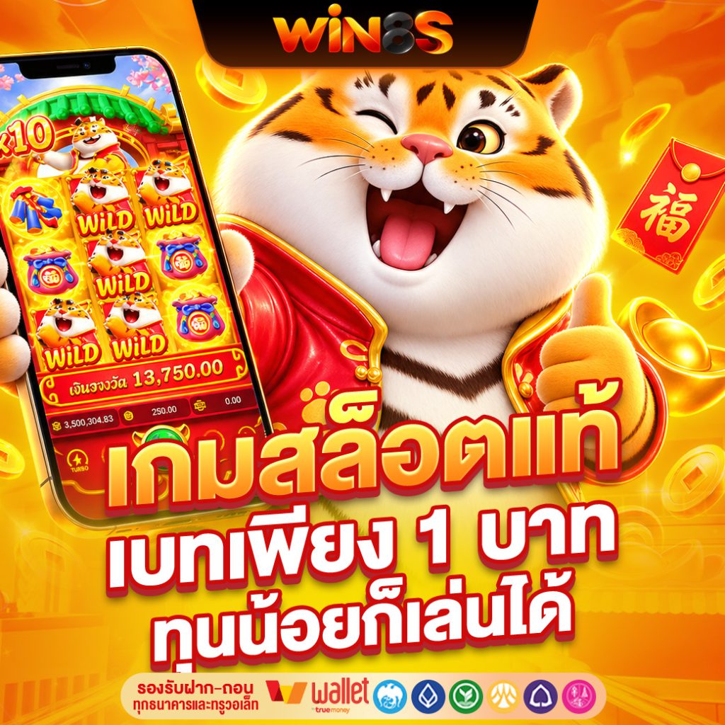 WIN8S
